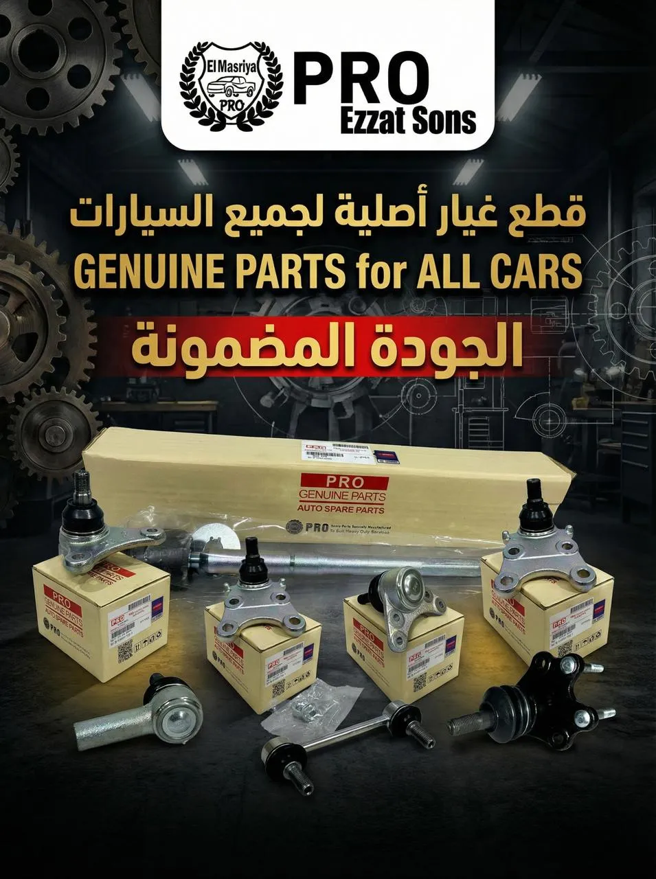 صورة من المعرض